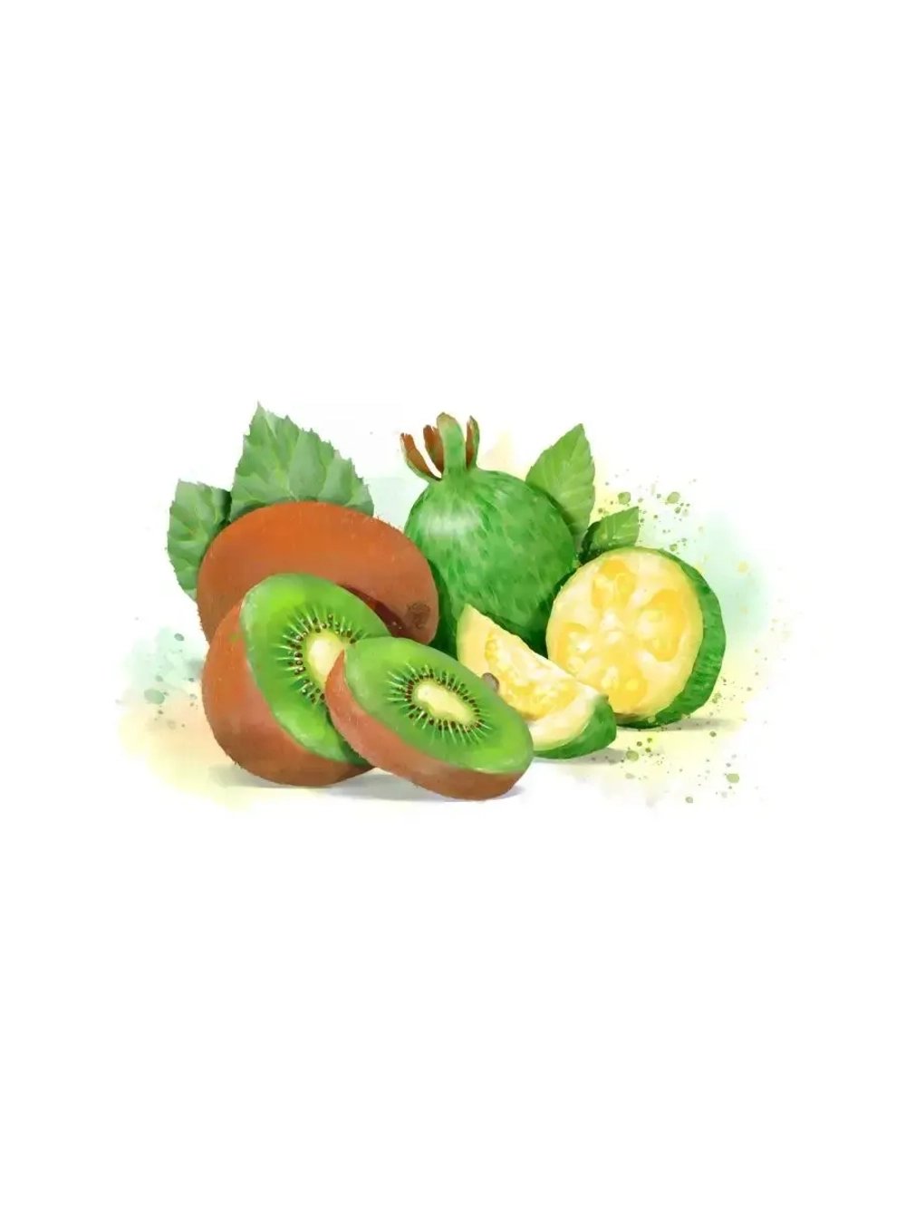 Основа для лимонадов и коктейлей WATSON SAYS Киви - Фейхоа 1кг