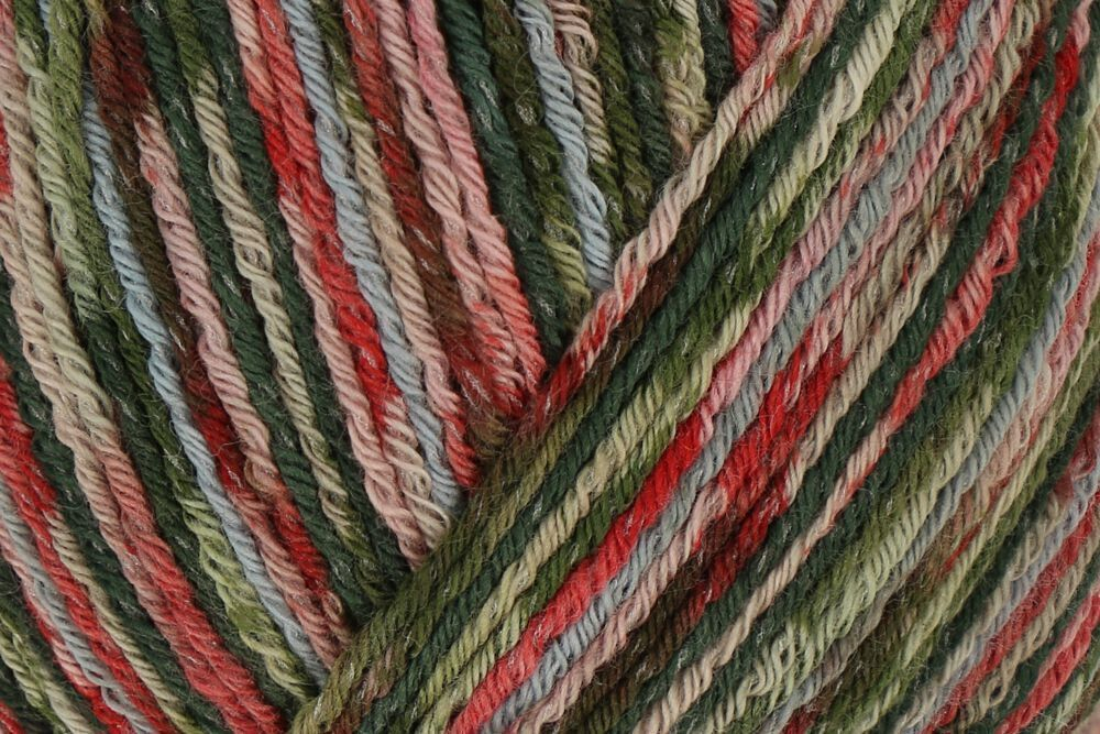 Пряжа Regia Cotton Color (02413/Дремучий лес), 72% хлопок, 18% полиамид, 10% полиэстер, 100г/420м