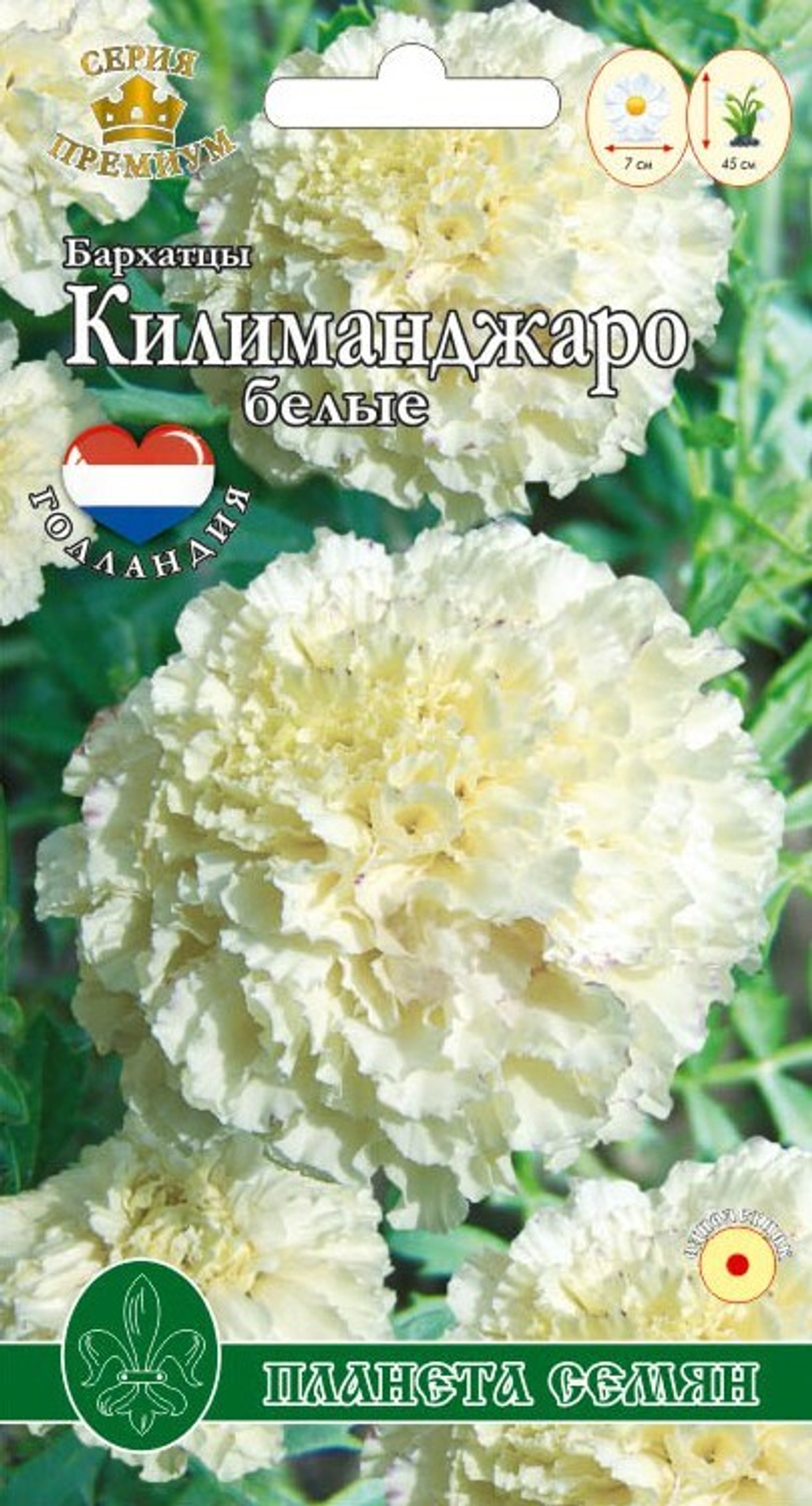 Бархатцы прямостоячие Килиманджаро