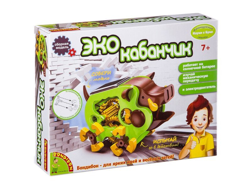 Французские опыты Науки с Буки Эко кабанчик арт ВВ2406 (BONDIBON)
