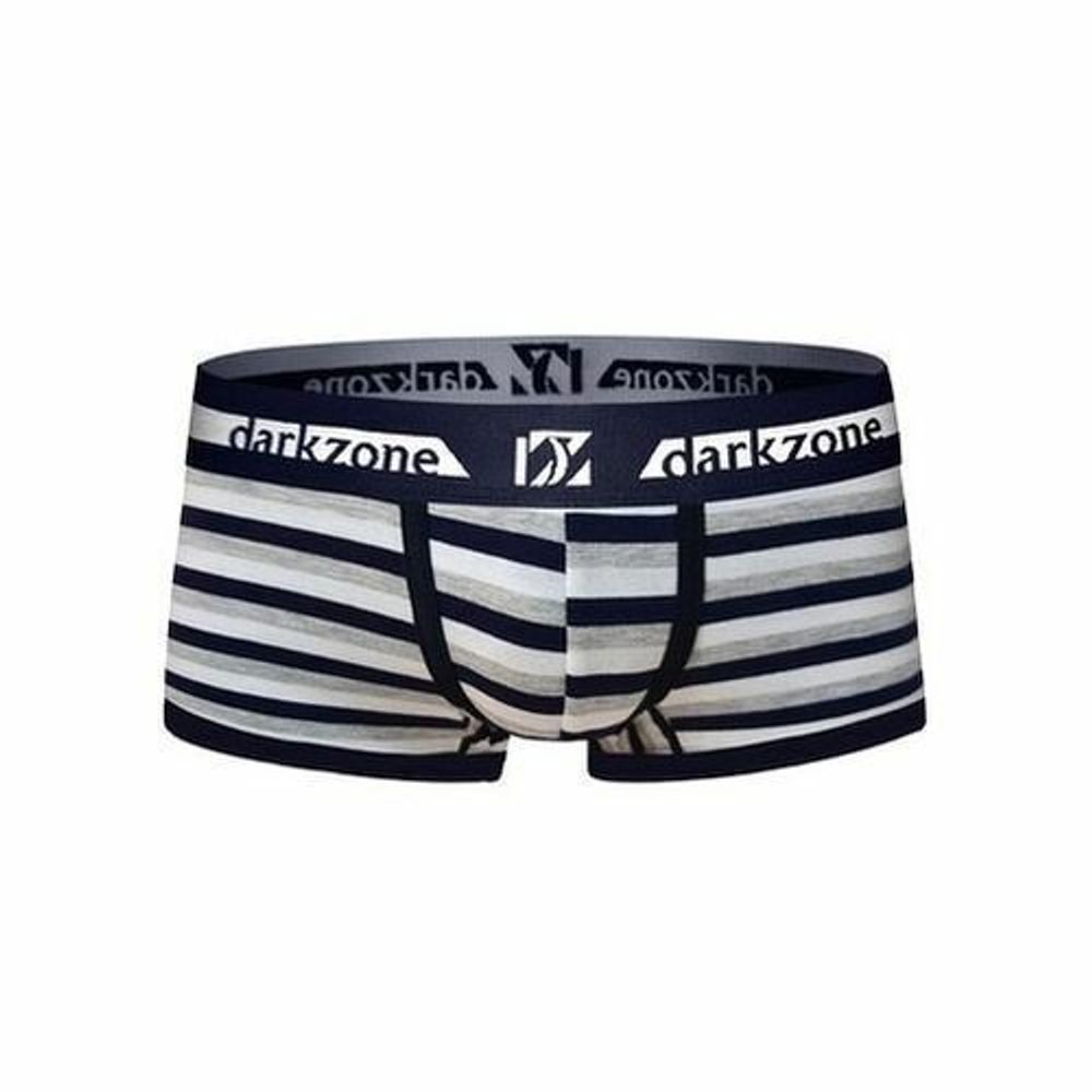 Трусы мужские хипсы синие в полоску DARKZONE DZN3215