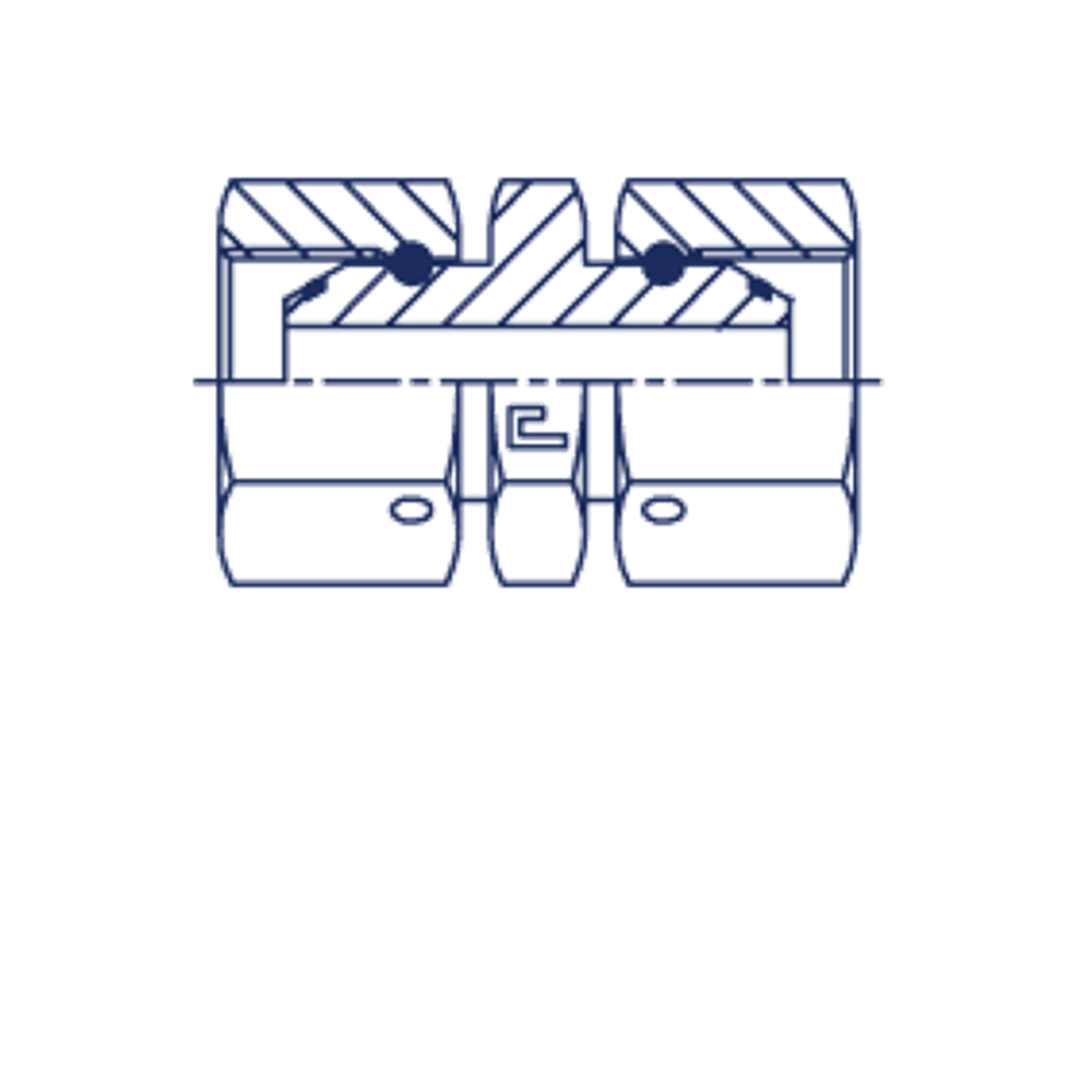 Соединение PSN BSP 1/2" BSP 1/2"