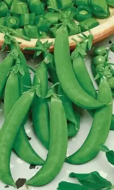 Семена Горох Амброзия 8гр (УД) Е/П