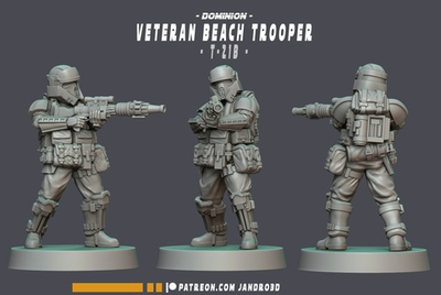 Star Wars Veteran Beach Trooper