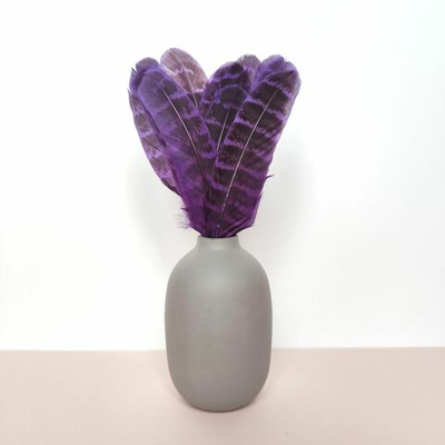 Перья фазана домашнего фиолетовые 15шт.