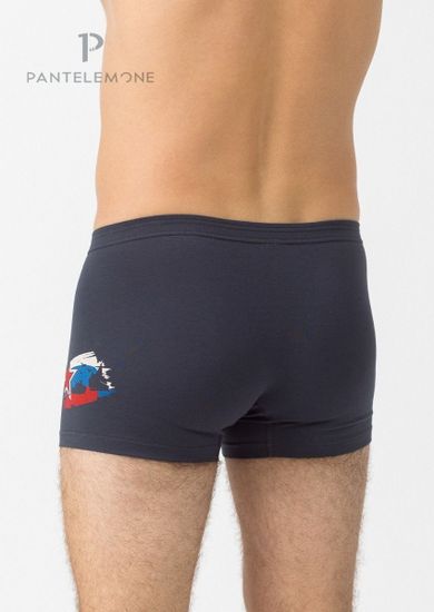 Трусы мужские боксеры Pantelemone PMH-1353, темно-серый