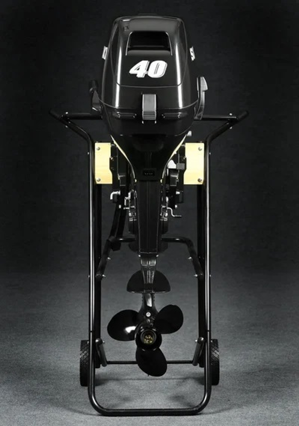 2х-тактный лодочный мотор SUZUKI DT40WS