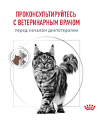 Royal Canin корм консервированный для взрослых кошек кусочки в соусе при нарушениях пищеварения