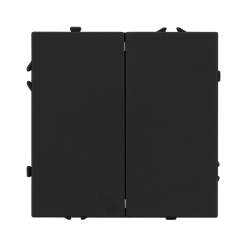 Механизм выключателя двухклавишный непроходной SWT-NOBE-MK02-SFPL-BK (230V, 10A) (Arlight, -) 054252