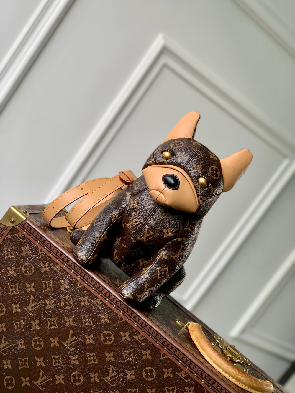 Louis Vuitton Pooch Bag