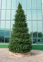 уличная елка каркасная "Уральская" хвоя пленка пвх