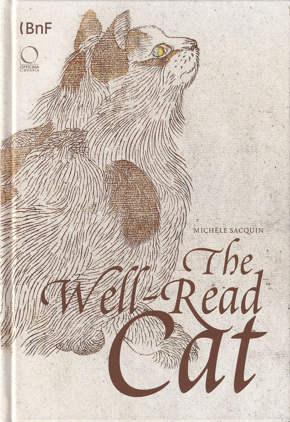 Начитанный кот