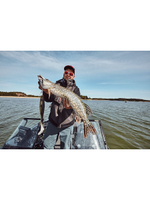 Виброхвост LJ 3D BBS Series GIANT KUBIRA SWIM SHAD 10,3in (26,00)/PG25 1 шт. в упак.+Stinger XL