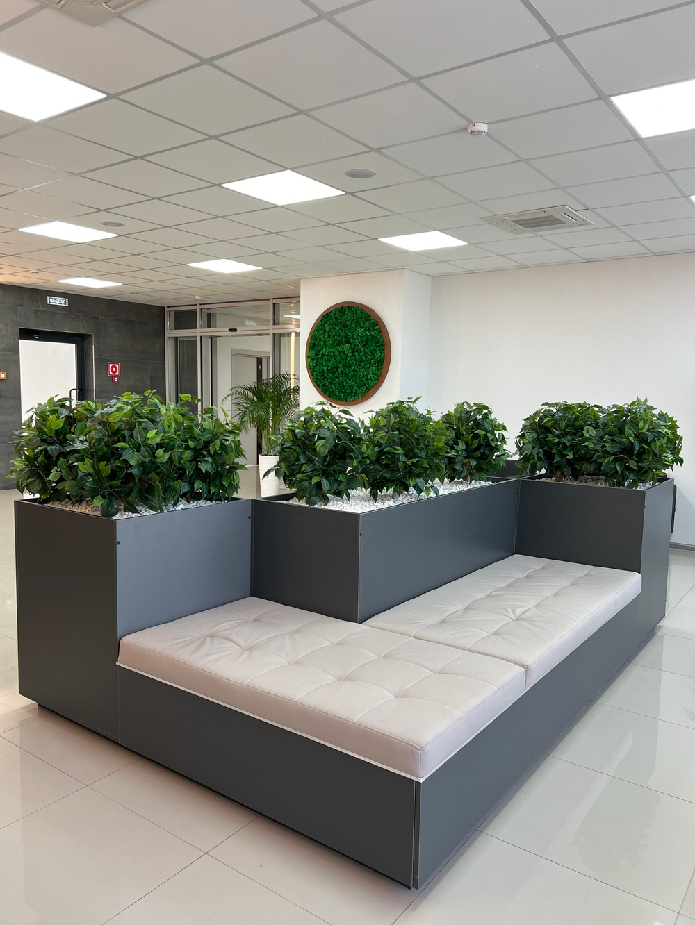 Озеленение искусственными растениями офиса строительной компании "ССК" г.Краснодар