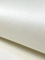 Обои чистый флизелин Hg31 001/1 Winter Moments Hygge