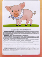 Эпидемический паротит (свинка).