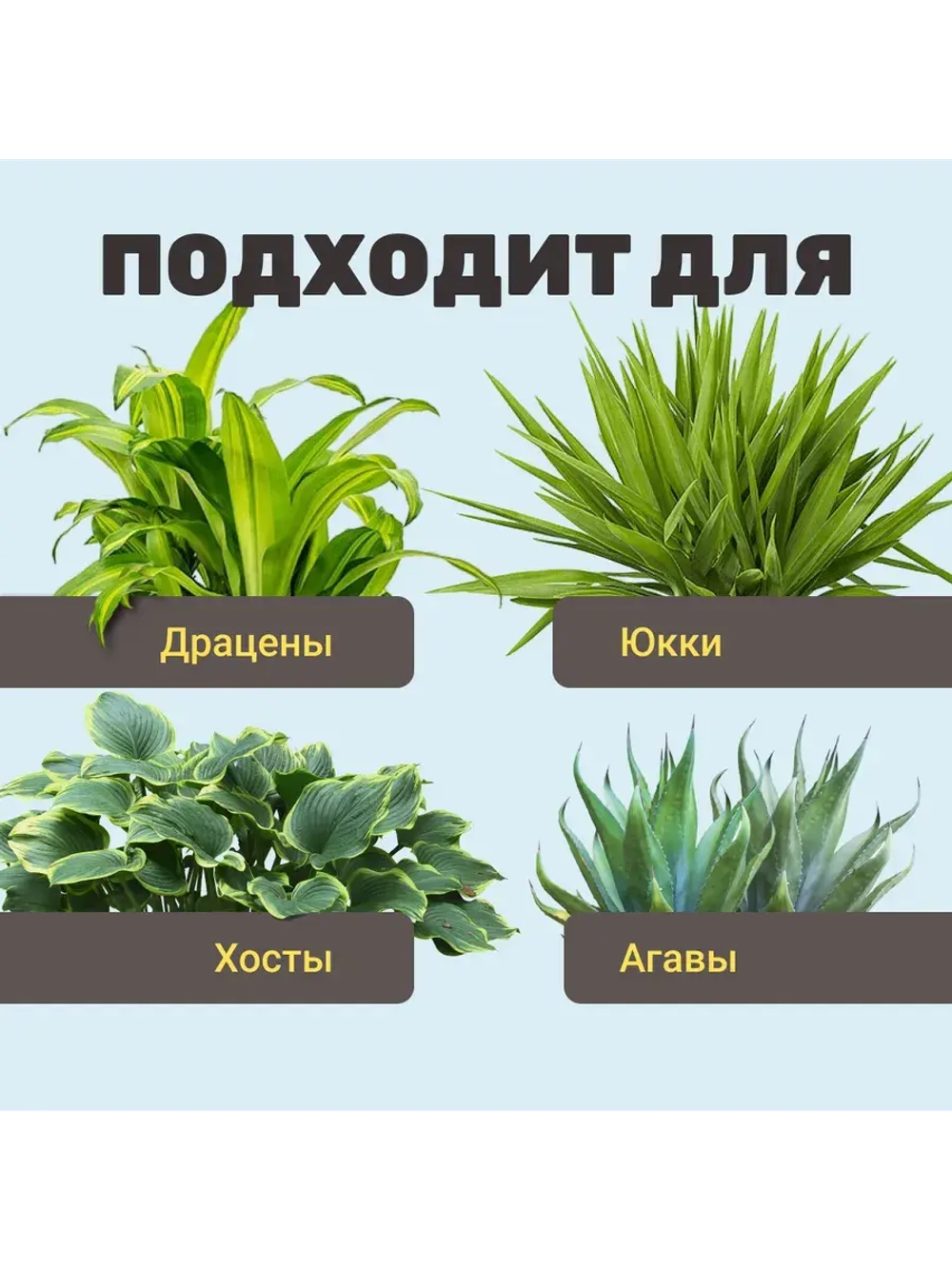 Органический грунт для драцены и юкки 2,5 л