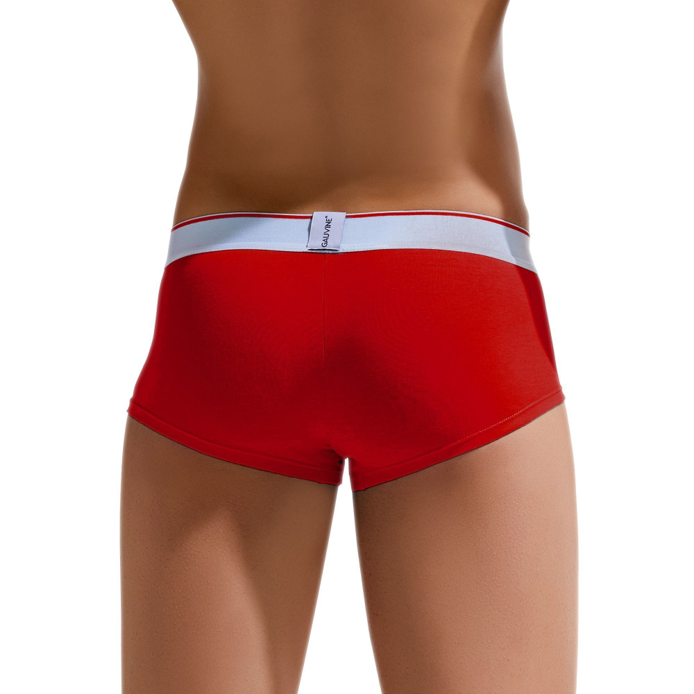 Мужские трусы-хипсы Colours of the Planet Trunk (Размер: S) (Цвет: фиолетовый)