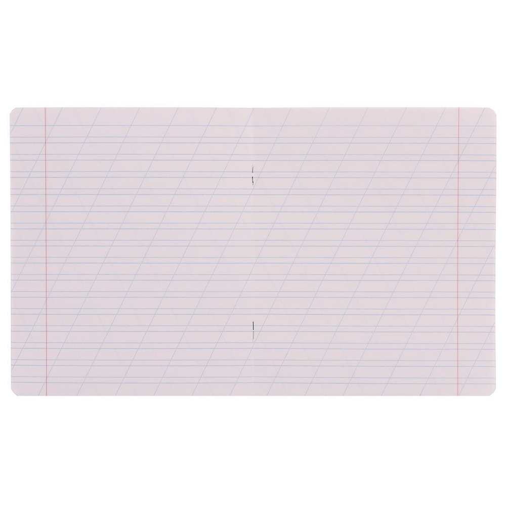 Тетрадь школьная А5 12лкосая линия,розовая "Классика" ( Erich Krause) микс цветов (комплект 3 шт)