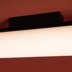 Потолочный светильник Freya FR5625CL-L20B