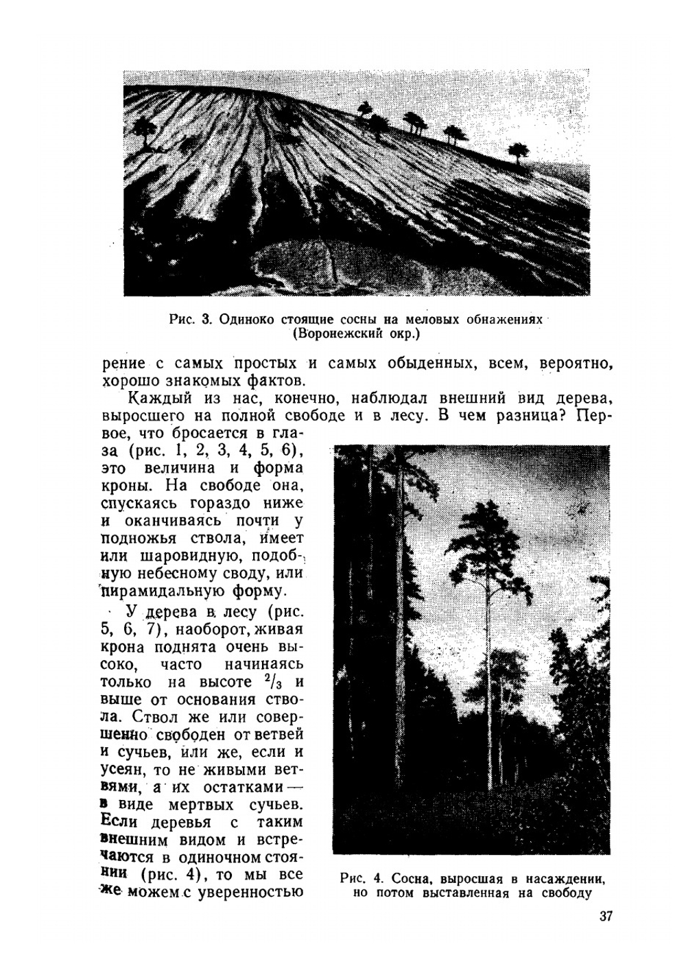 Учение о лесе | Морозов Георгий Федорович