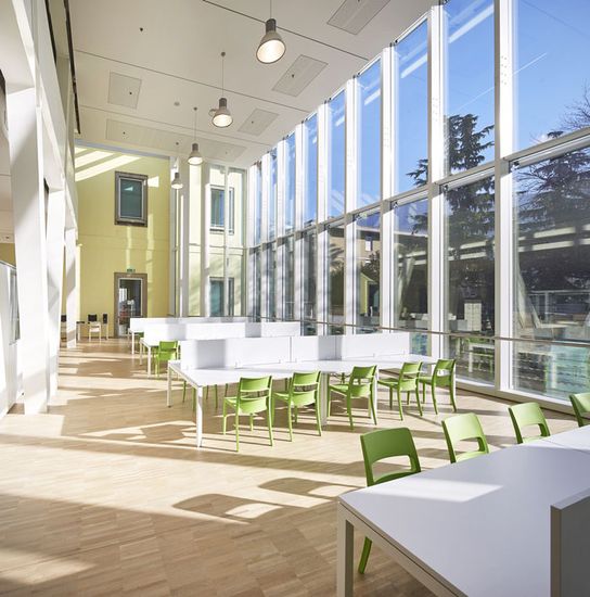 Стул пластиковый Sai