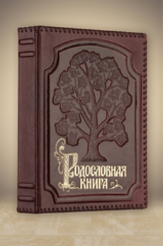 Родословная книга Изысканная в оплетке (кожа)