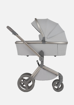 Anex Детская коляска Flo 2 в 1 Frossy