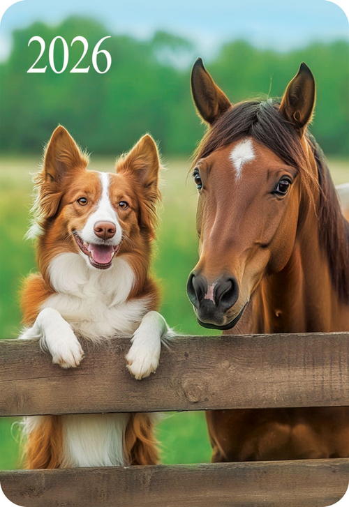 Календарь карманный (КГ) Символ года