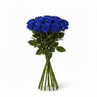 Розы "Эквадор" синие