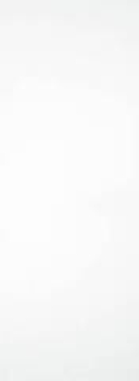 STN Ceramica Blanco Brillo Rect. 33.3x90