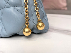 Christian Dior Ammi Small 27 cm