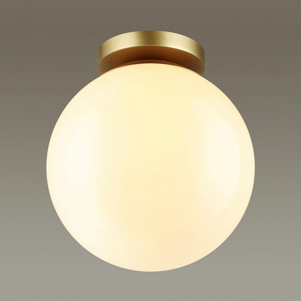 Накладной светильник Odeon Light Bosco 4248/1C