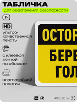 Табличка для обеспечения безопасности "Осторожно, берегите голову", для офиса, по охране труда для предприятия, организаций, 40х30 см, Silver Plane x Айдентика Технолоджи