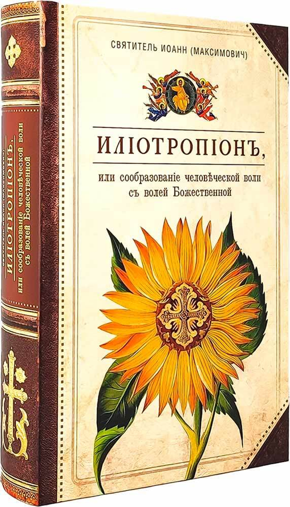 p9lmlytnktvu44xapmxfd64nj2yj8sxq