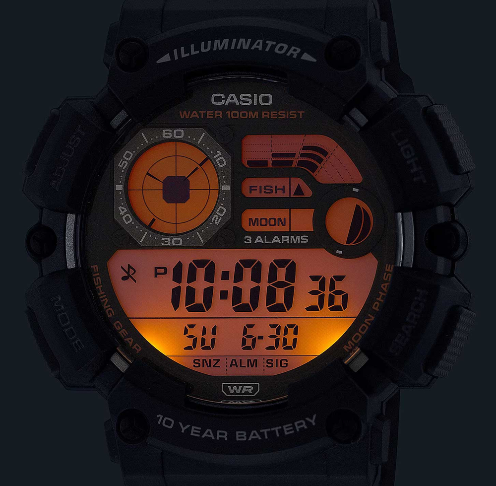 Часы Casio WS-1500H-2A