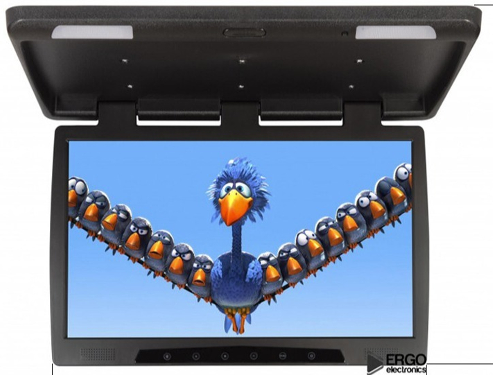 Монитор потолочный - ERGO ER22H с экраном 22” (LCD 1680x1050) черный