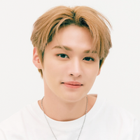 Минхо (Lee Know)
