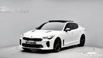 Kia Stinger Meister 3.3 GT MASTER Turbo 패키지 (11.2020)