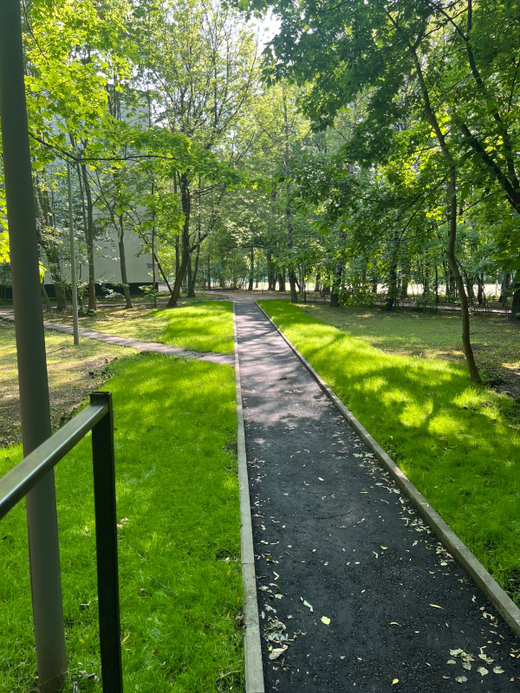 Озеленение