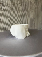 Ваза для суккулентов цветов и декора