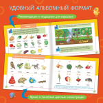 Альбом по развитию речи
