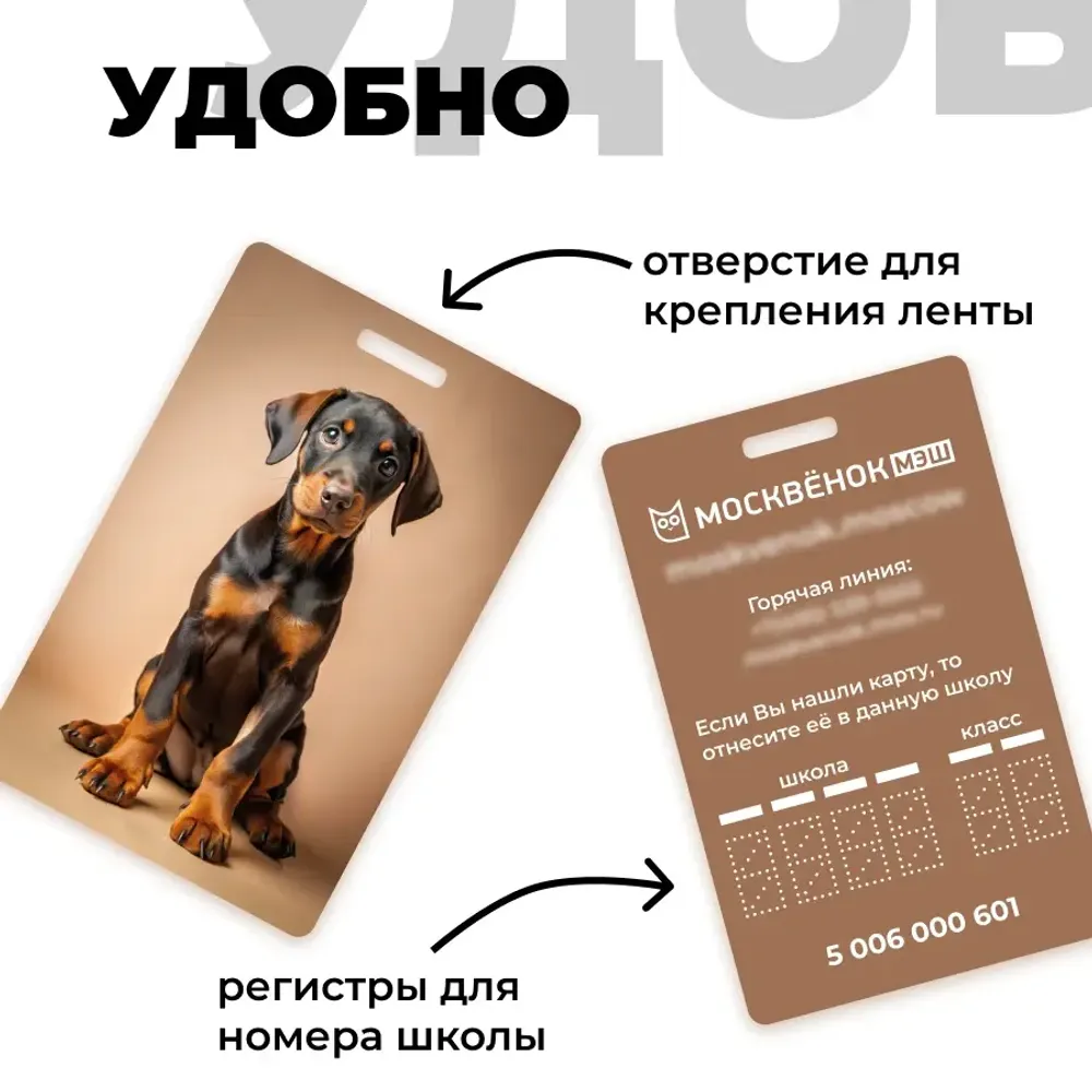 Карта Москвёнок DOGS №9 (проход + питание)