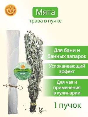 Мята длиннолистная (пучок)