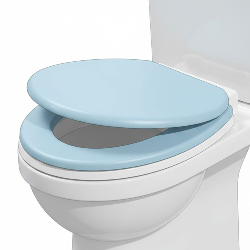 Сиденье для унитаза AQUA-Prime FLAT 0502, цвет голубой