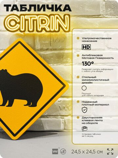 Табличка прикольная "Осторожно, капибара" на дверь и стену, информационная и предупреждающая, декоративный знак, 24,5х24,5 см, пластиковая, Айдентика Технолоджи