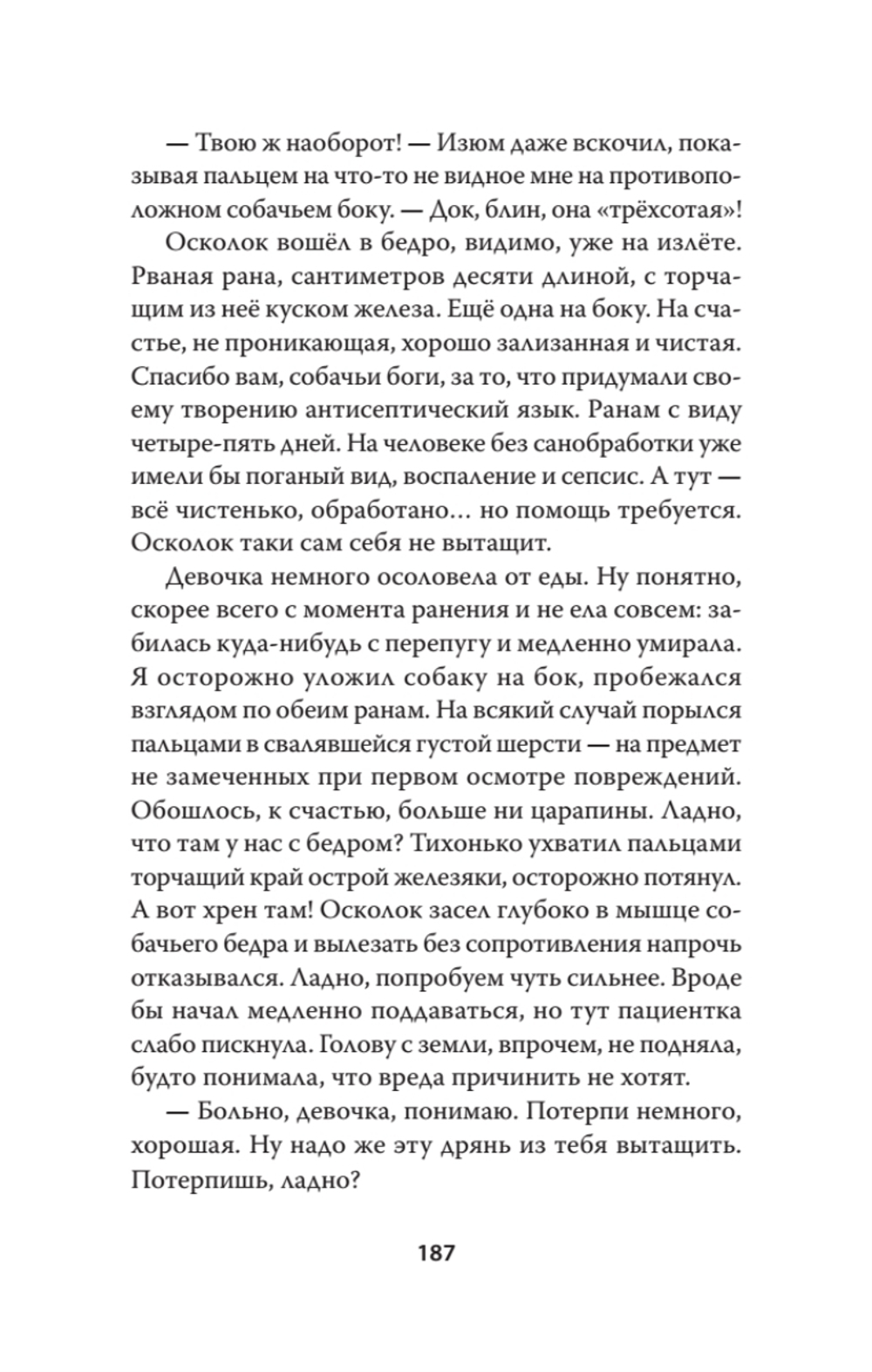 Хроники Двенадцатого бата