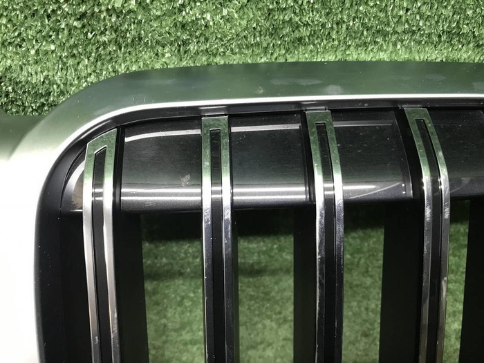 Решетка радиатора BMW X7 G07 (2022-н.в.)