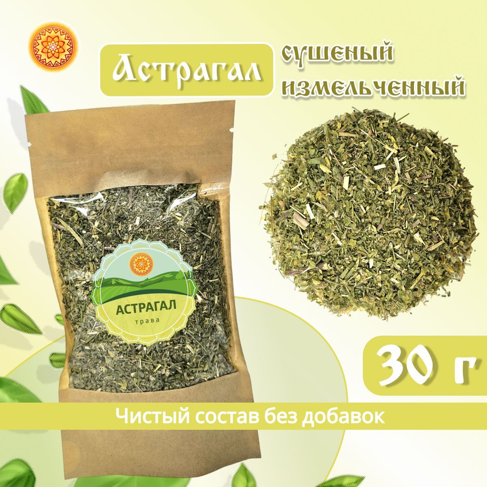 Астрагал шерстистоцветковый измельченный.