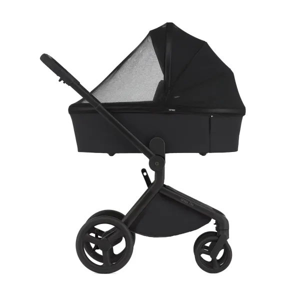 Коляска ANEX Flo 3 в 1 Lungo